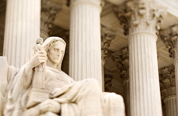 Отзыв пользователя